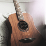 how many frets on a guitar - acoustic