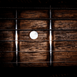 what are guitar frets